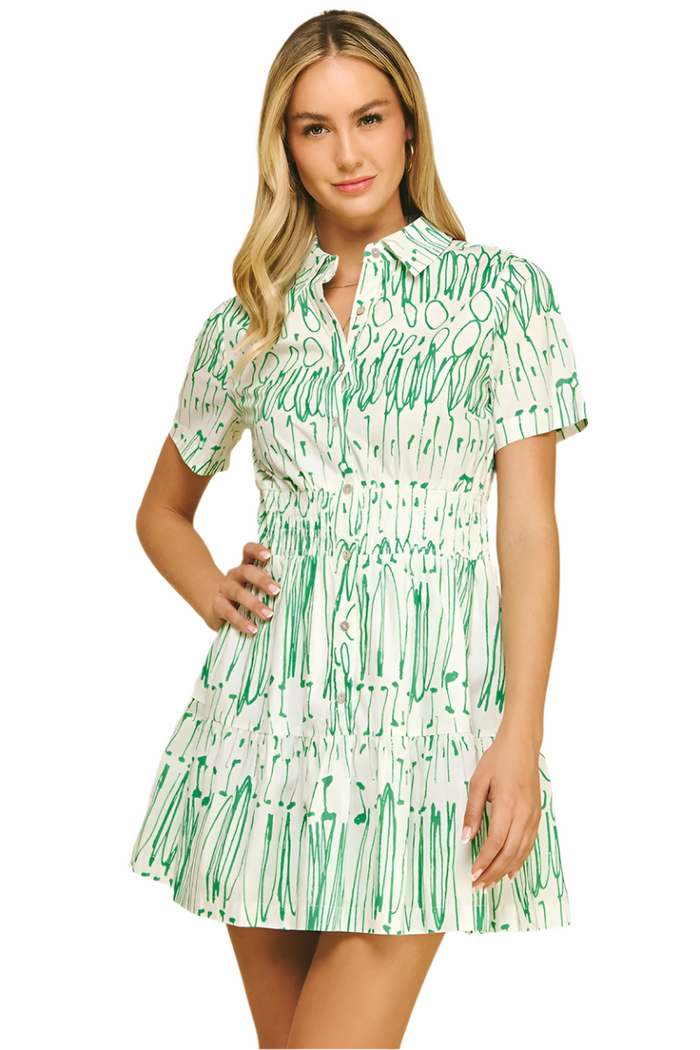 Print Button Down Mini Dress