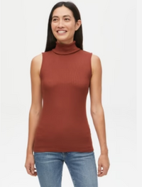 Hillary Turtleneck Shell