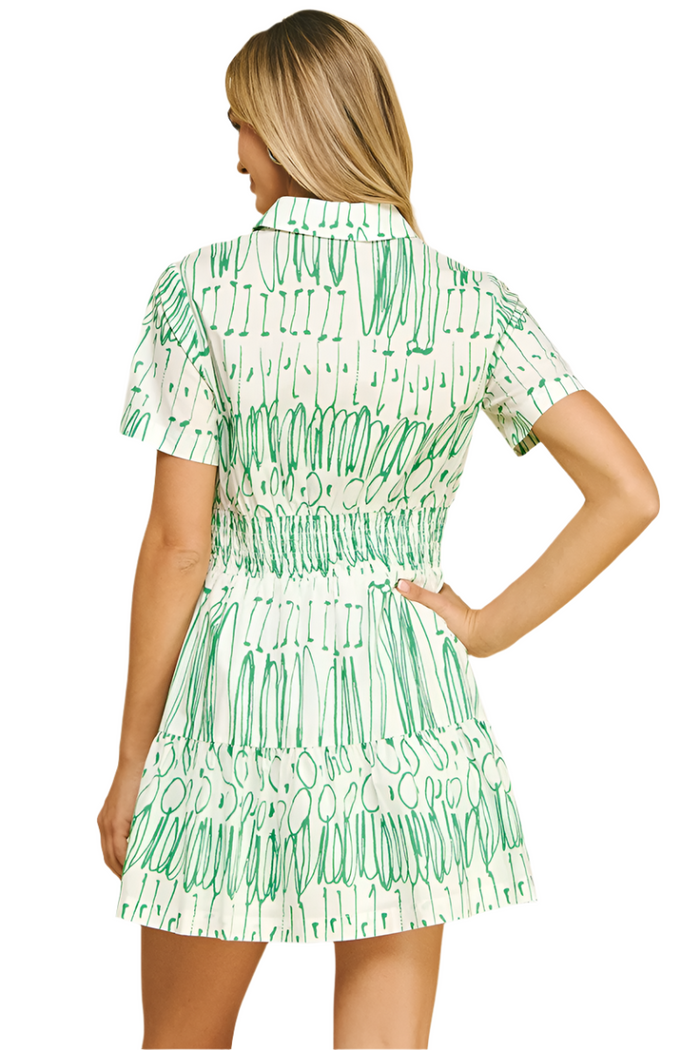 Print Button Down Mini Dress