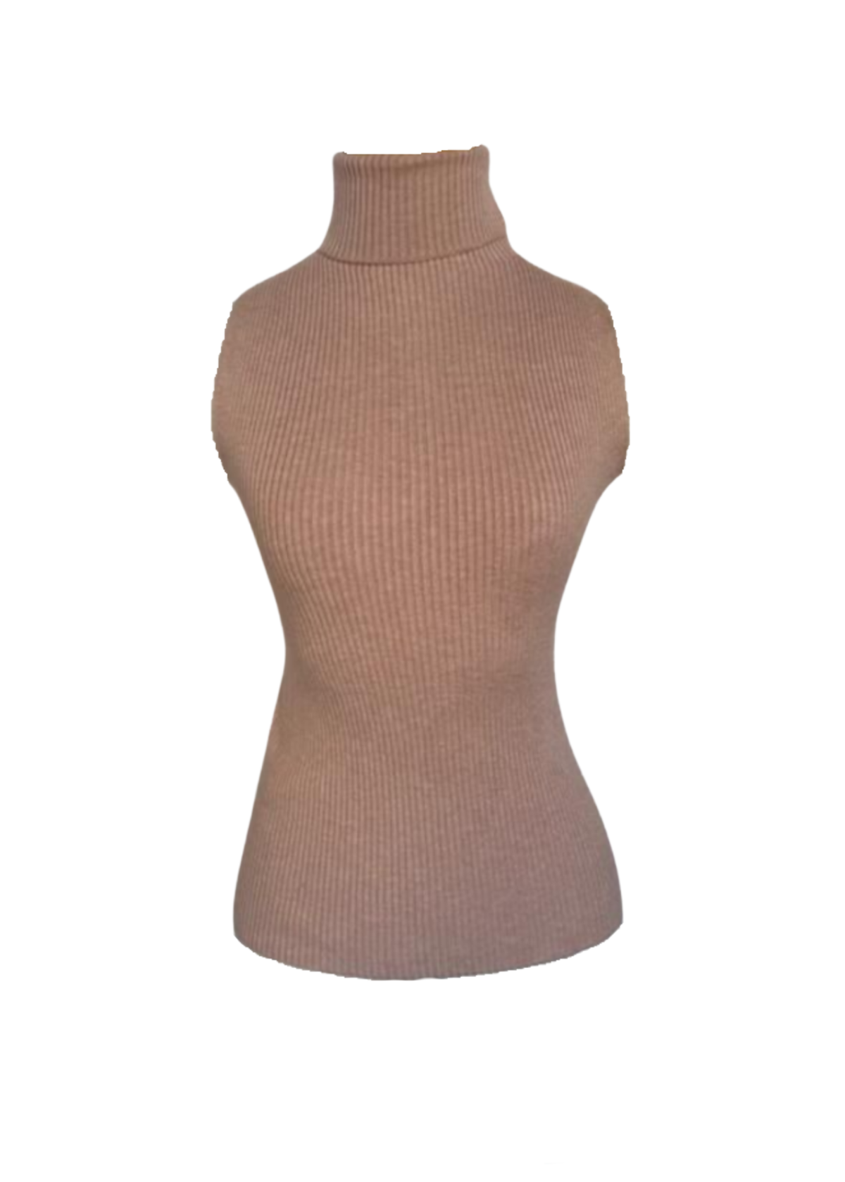 Sleeveless Turtleneck Top