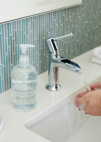 16 oz. Eucalyptus Hand Wash