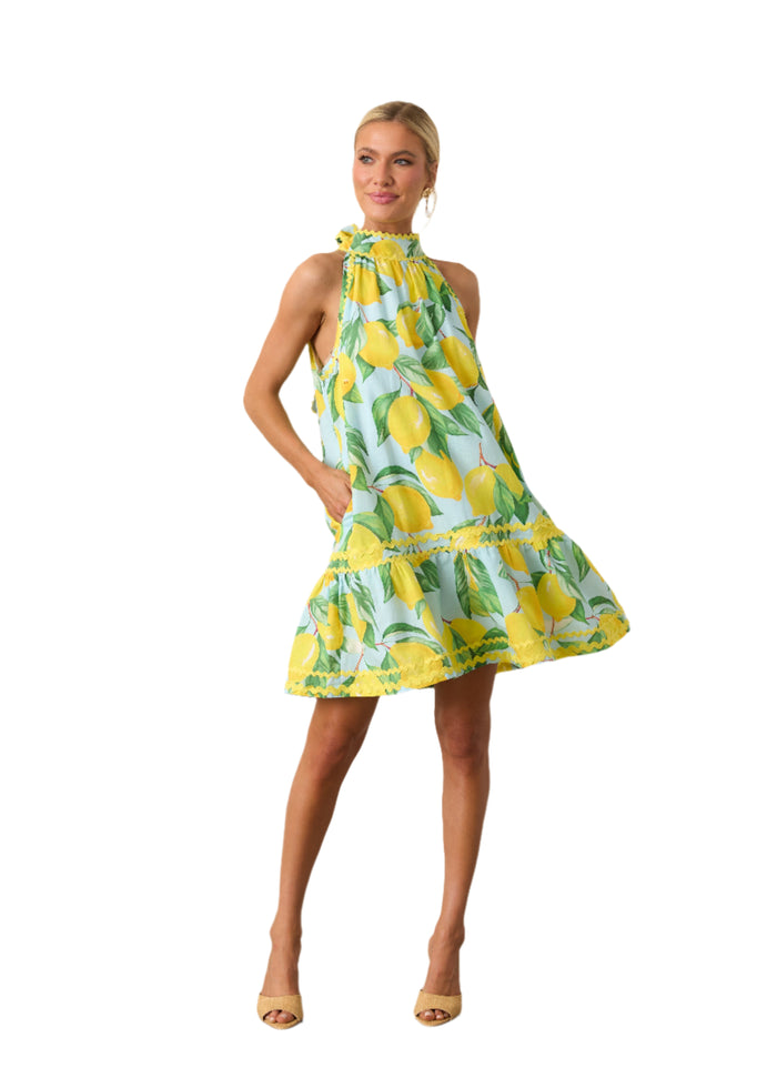 Simone Halter Dress