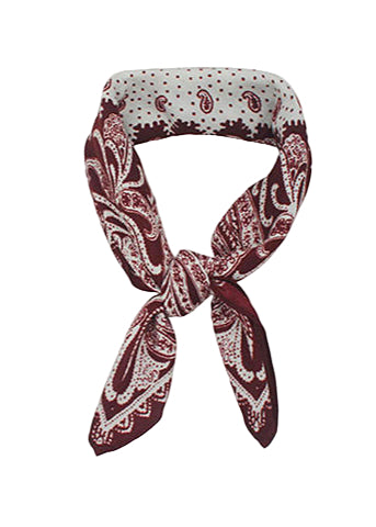 Paisley Print Scarf