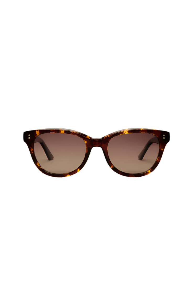 Shoreline Sunglasses