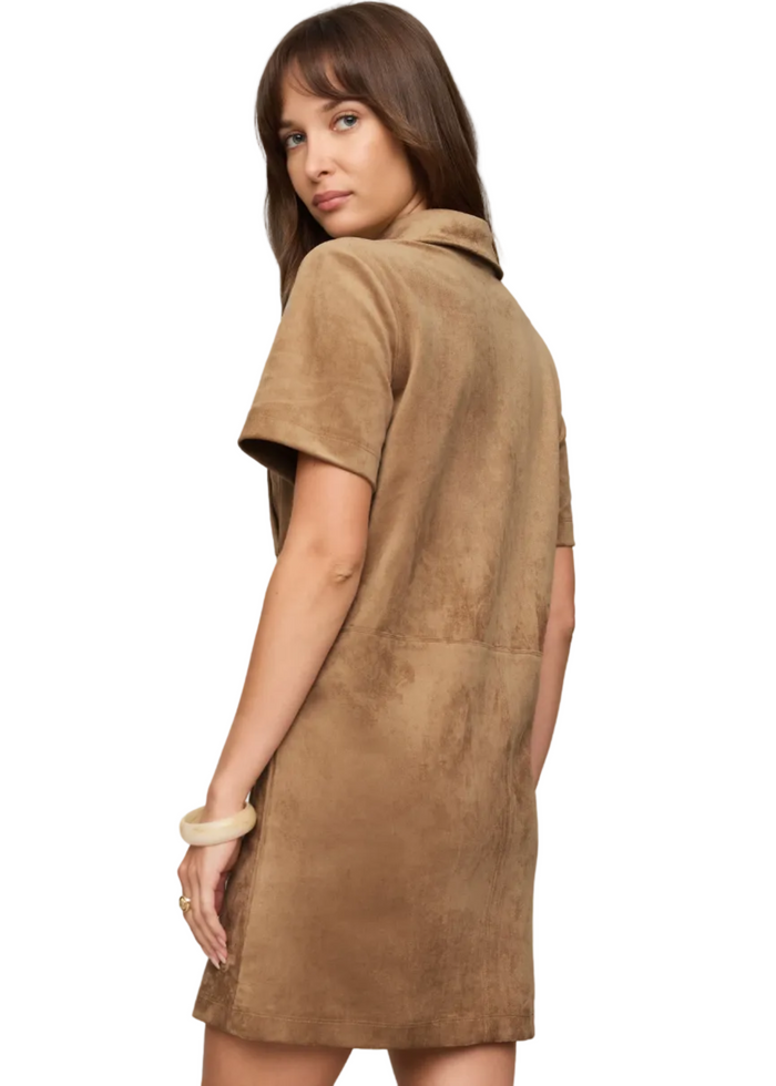 Leone Suede Mini Dress