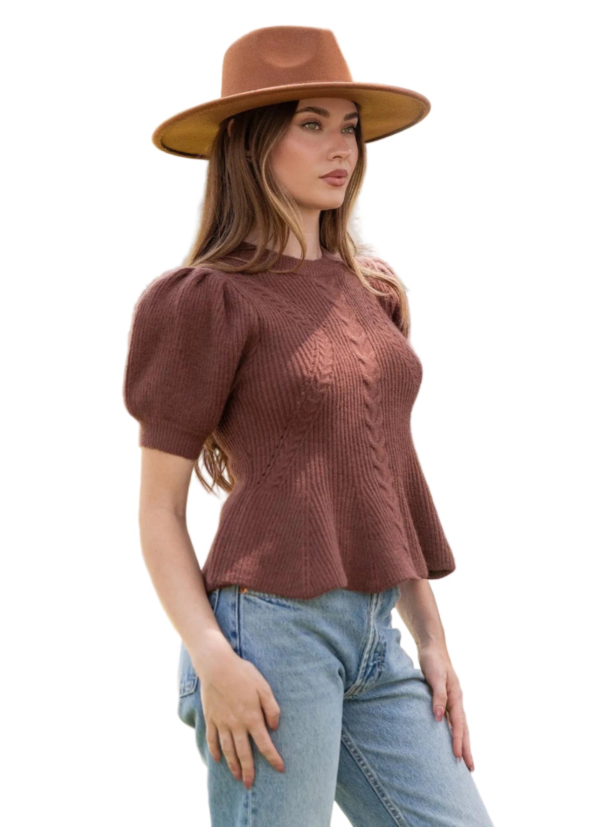 Flared Puff Sleeve Knit Top