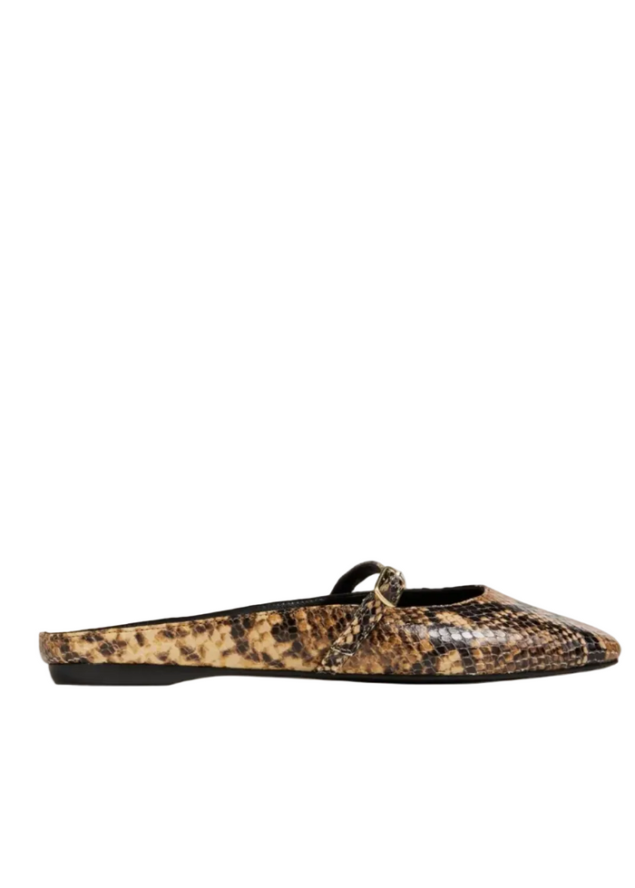 Lily Flat