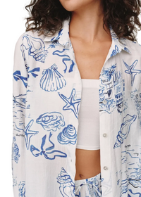 Classic Button Down