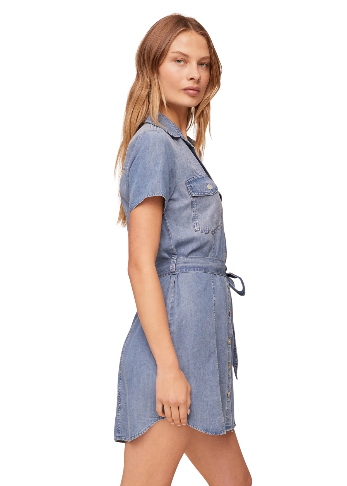 Short Sleeve Seamed Shirt Dress
