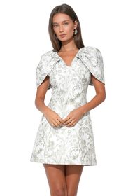Vivian Cape Sleeve Mini Dress