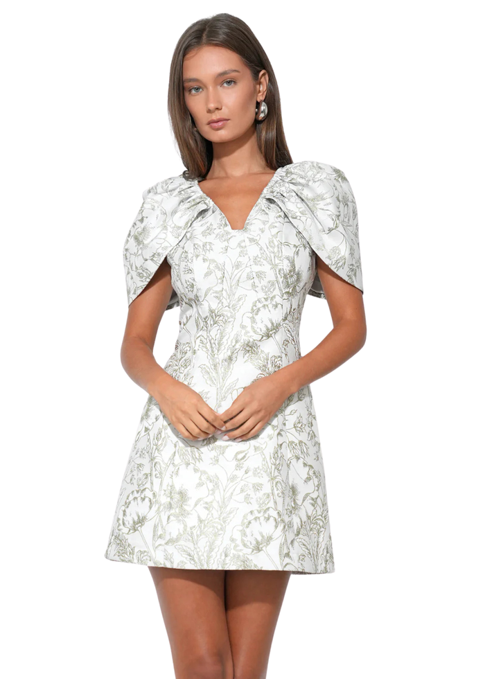 Vivian Cape Sleeve Mini Dress