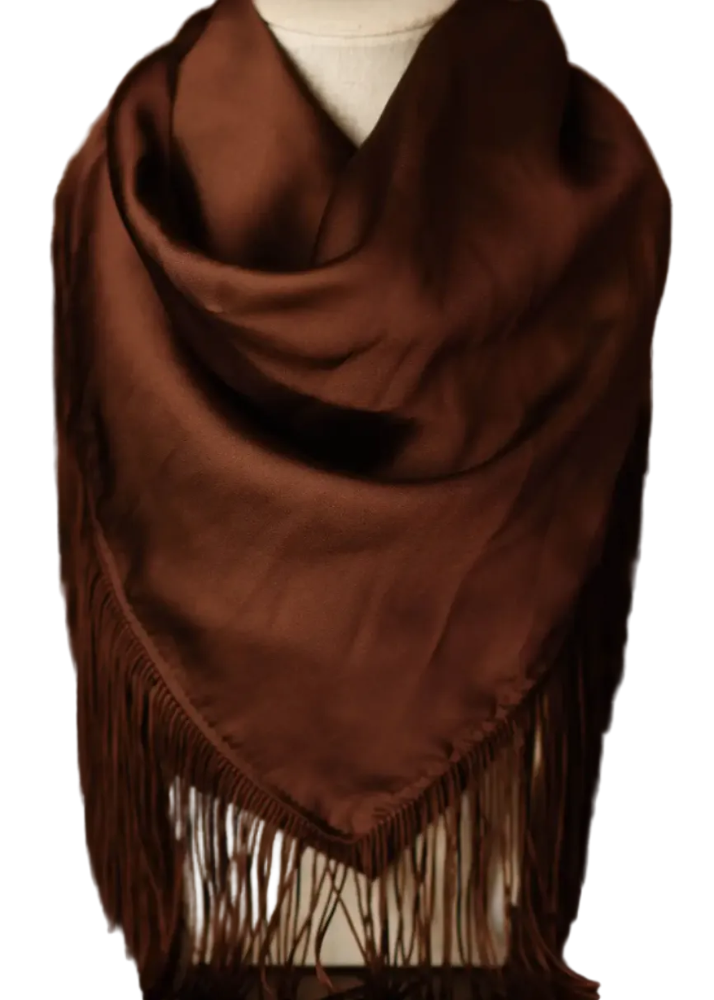Solid Fringe Scarf - Chocolate Brown