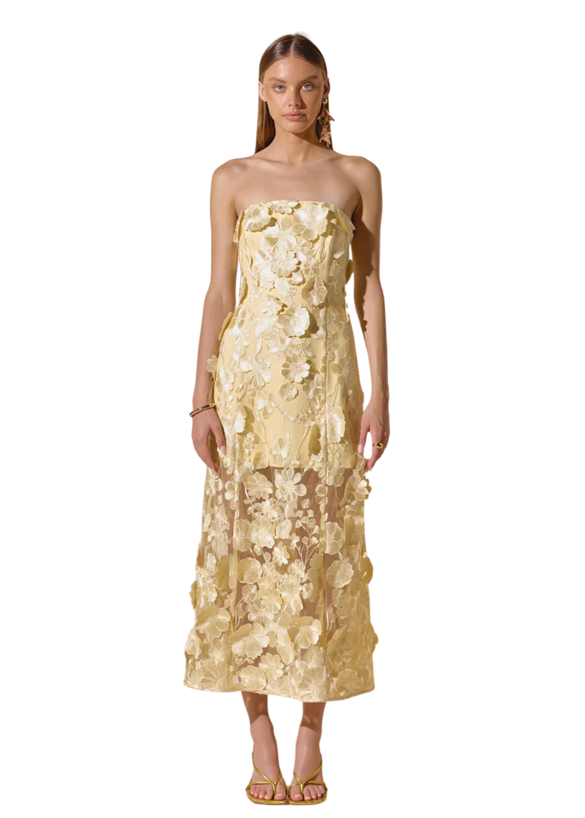 Strapless Floral Embroidered Maxi Dress