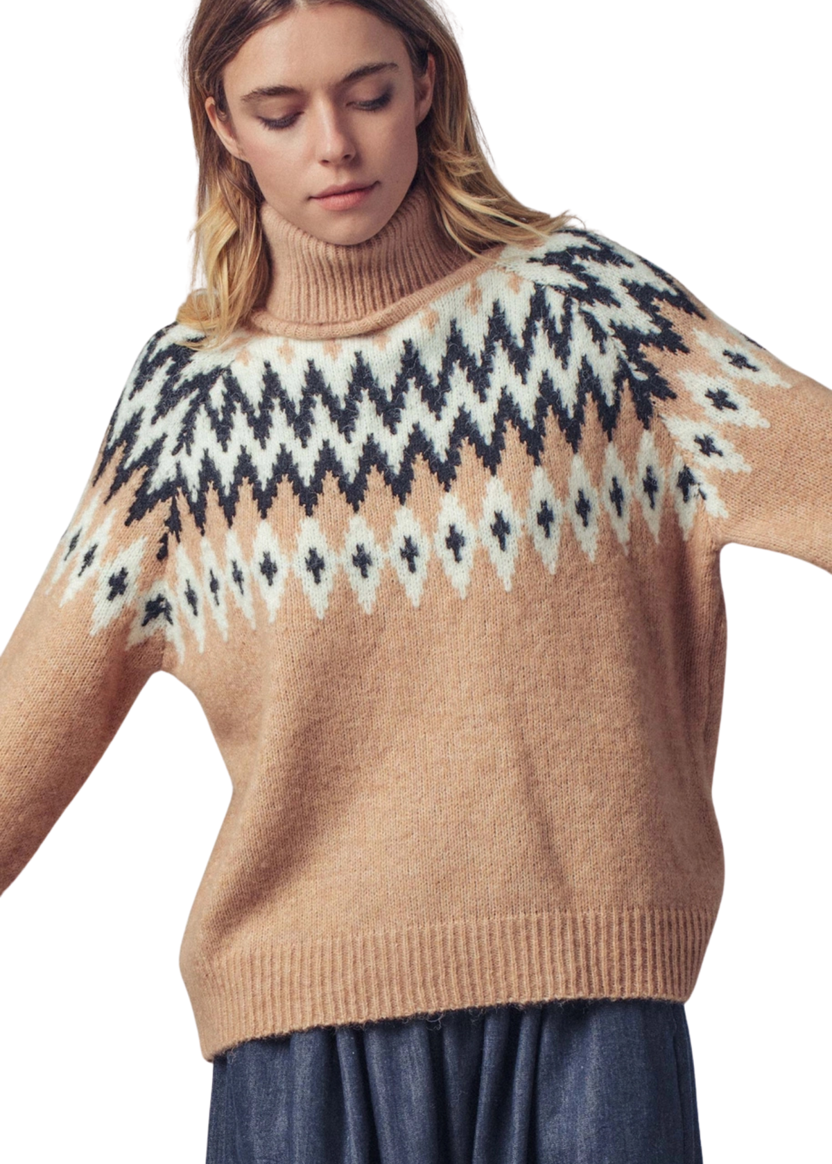 Fair Isle Pattern Turtleneck Sweater