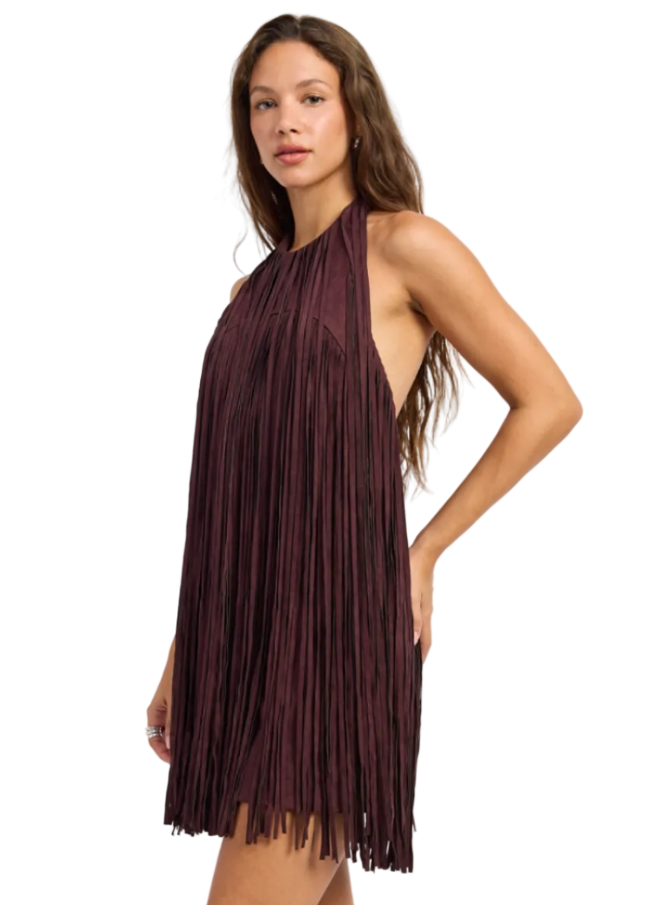 Fringe Suede Mini Dress