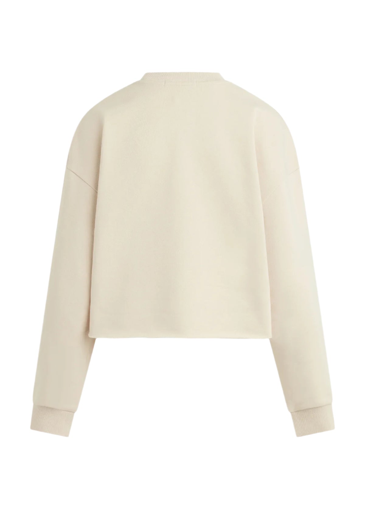 Cropped Collegiate Sweatshirt