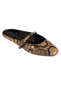 Lily Flat