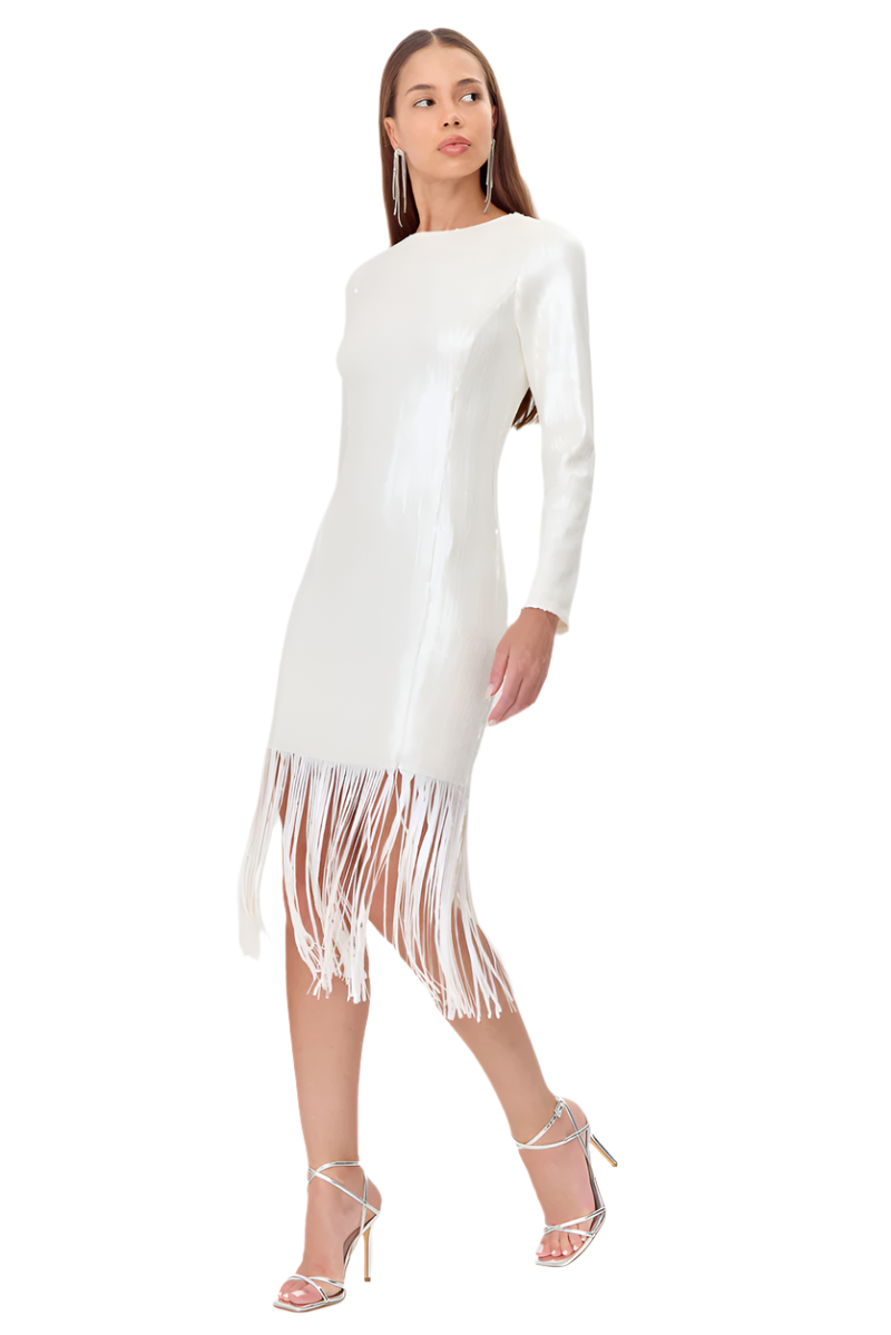 Gelissa Sequins Fringe Dress