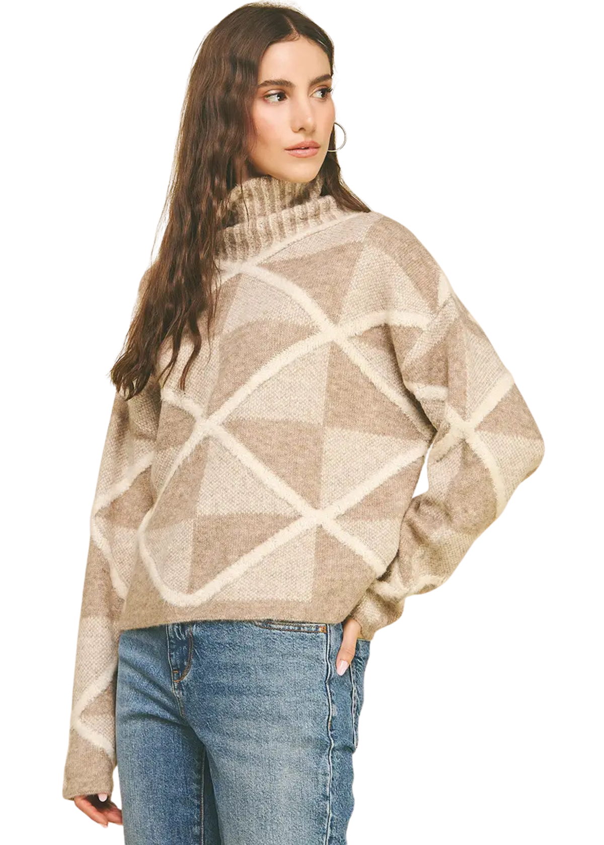 Diamon Pattern Turtleneck Sweater