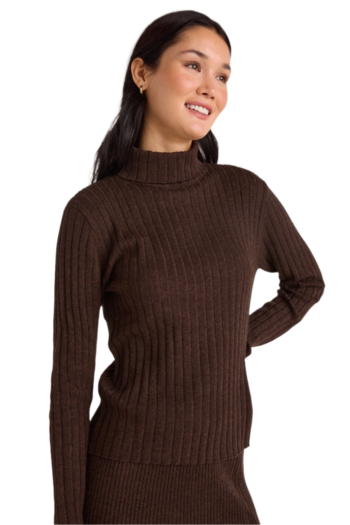 Long Sleeve Turtleneck Sweater