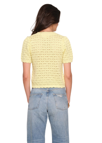 Clarina Cardi