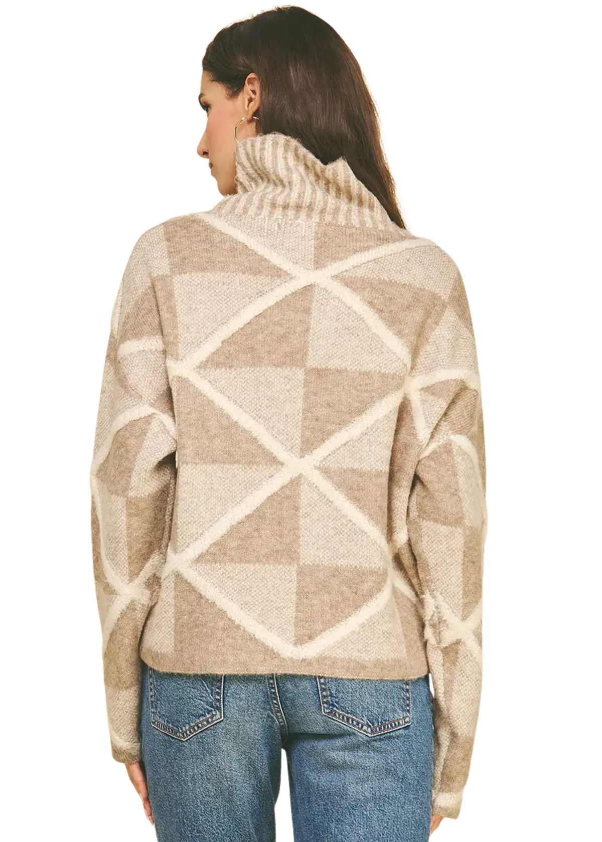 Diamon Pattern Turtleneck Sweater