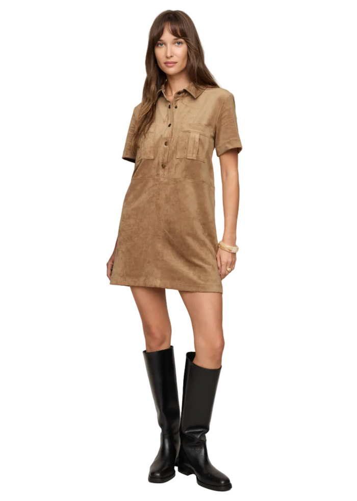 Leone Suede Mini Dress
