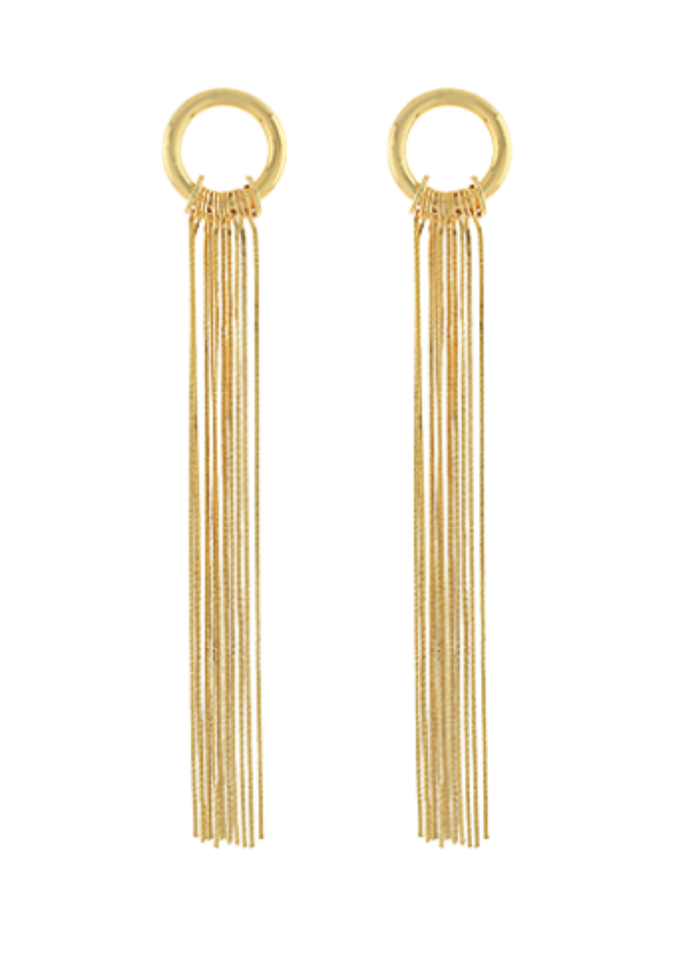 Circle Fringe Long Earrings