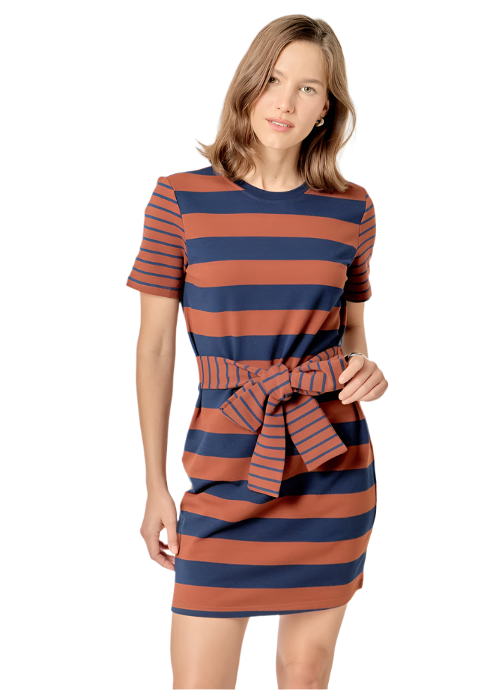 Stripe Knit Mini Dress