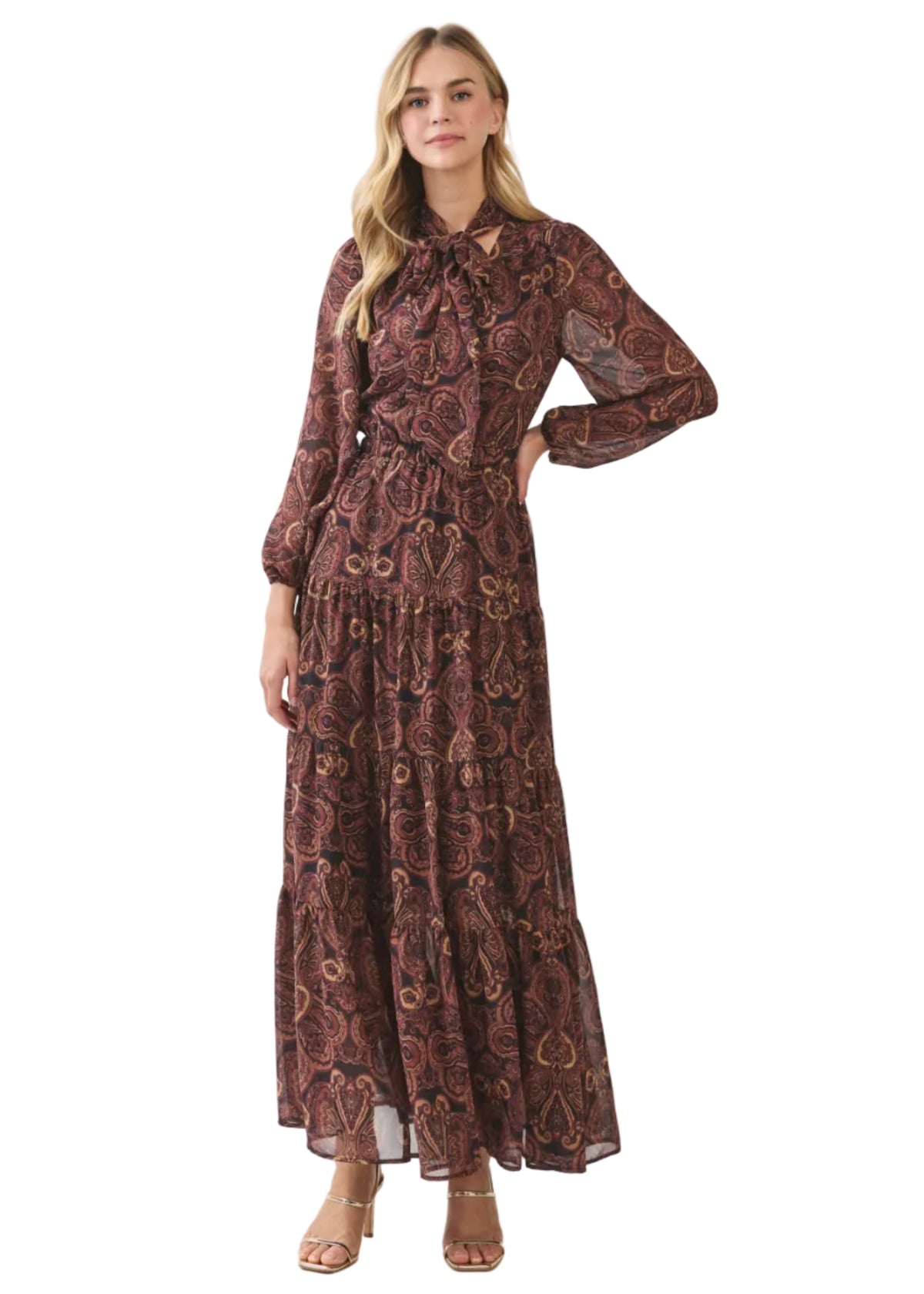 Long Sleeve Maxi Dress