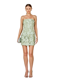 Floral Embroidered Mini Dress