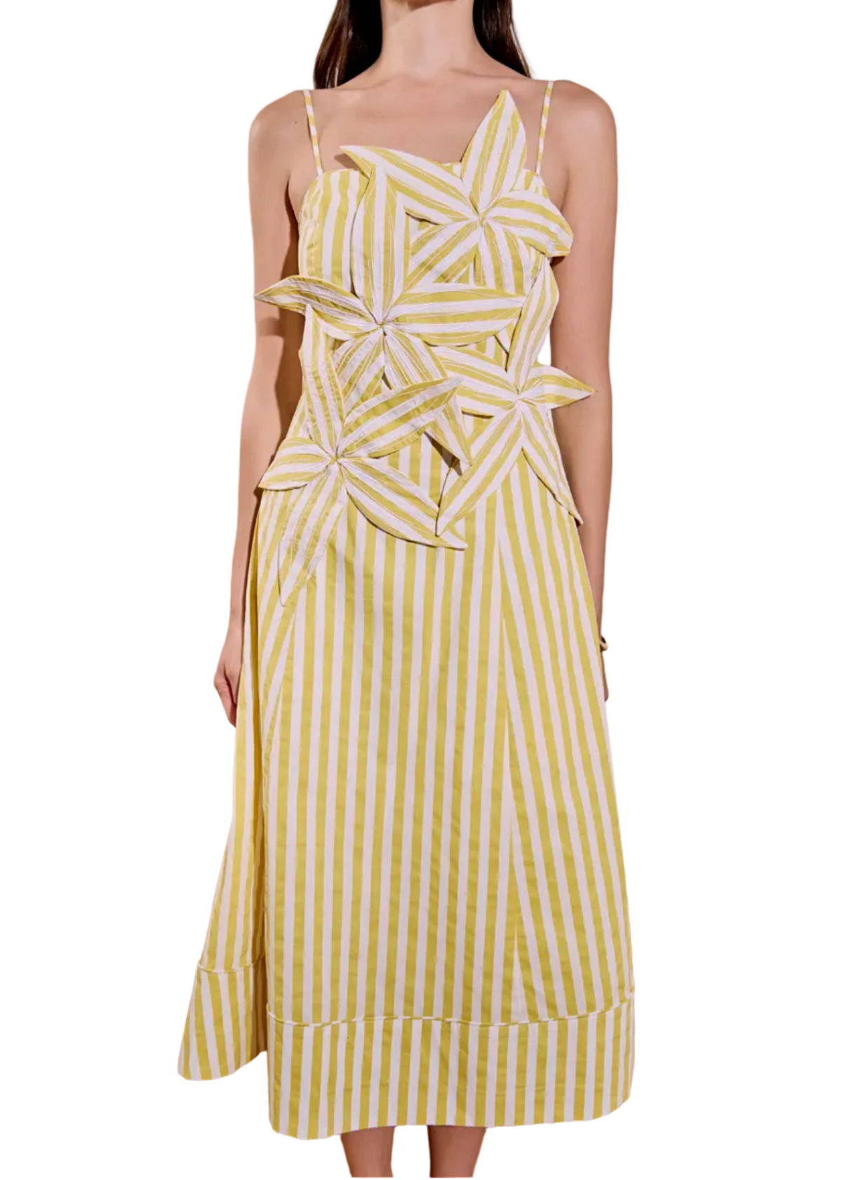 Midi Dress