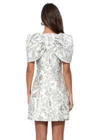 Vivian Cape Sleeve Mini Dress