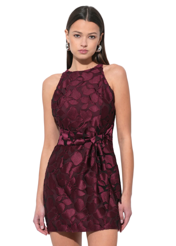Falini Velvet Burnout Mini Dress