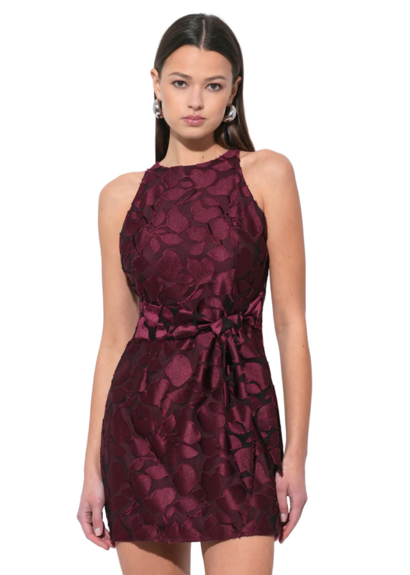 Falini Velvet Burnout Mini Dress