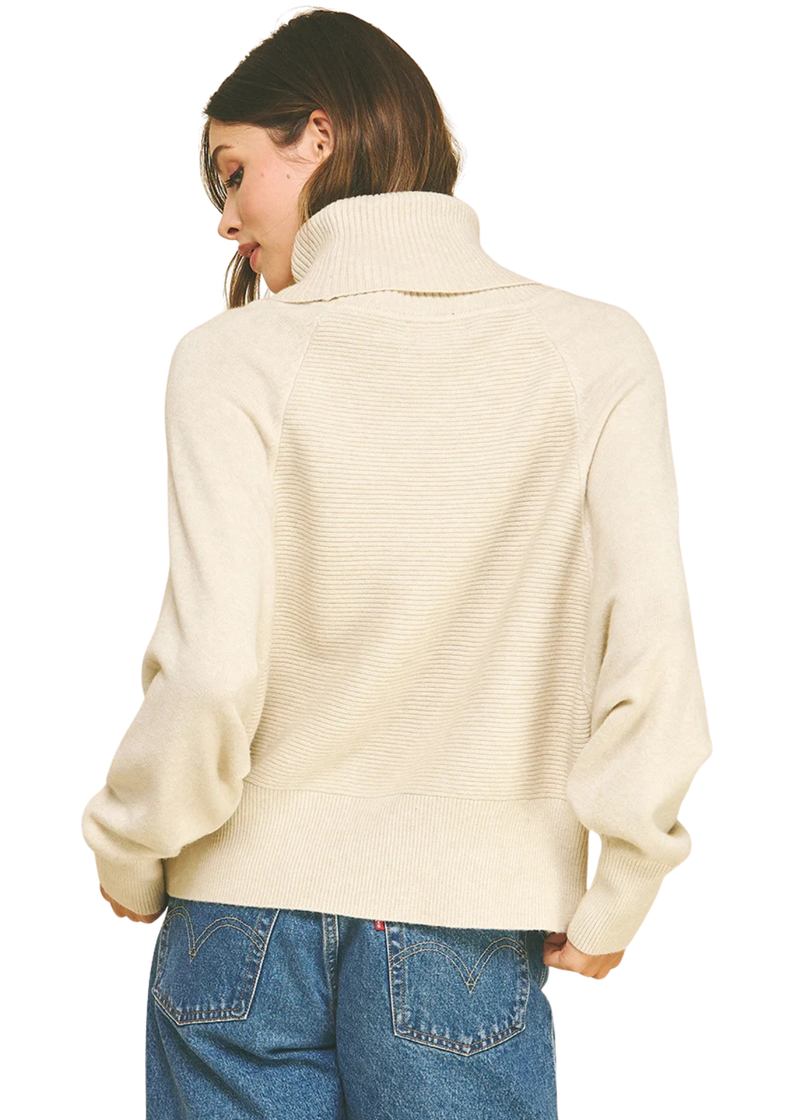 Turtle Neck Dolman Sleeve Sweater