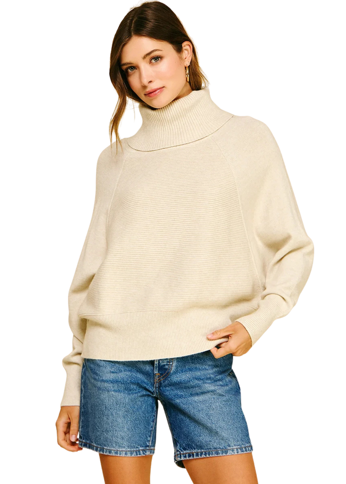 Turtle Neck Dolman Sleeve Sweater
