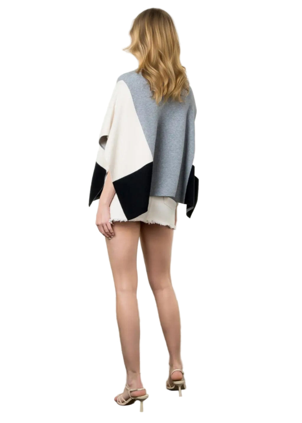 Colorblock Turtle Neck Poncho
