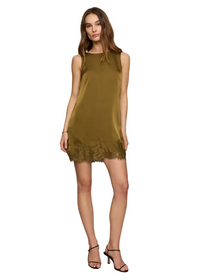 Meadow Muse Lace Mini Dress
