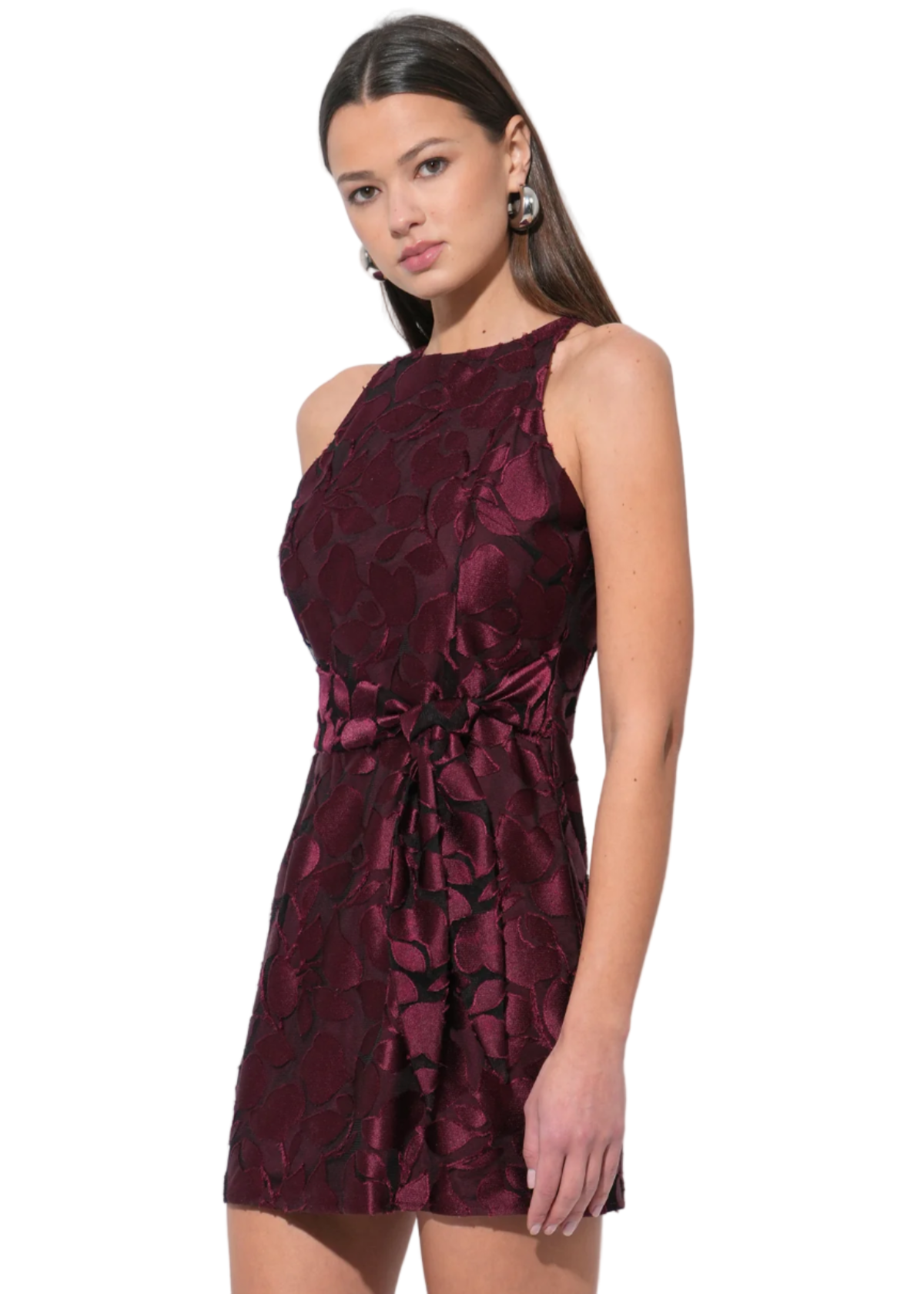 Falini Velvet Burnout Mini Dress