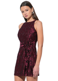 Falini Velvet Burnout Mini Dress