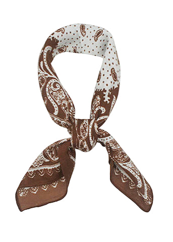 Paisley Print Scarf