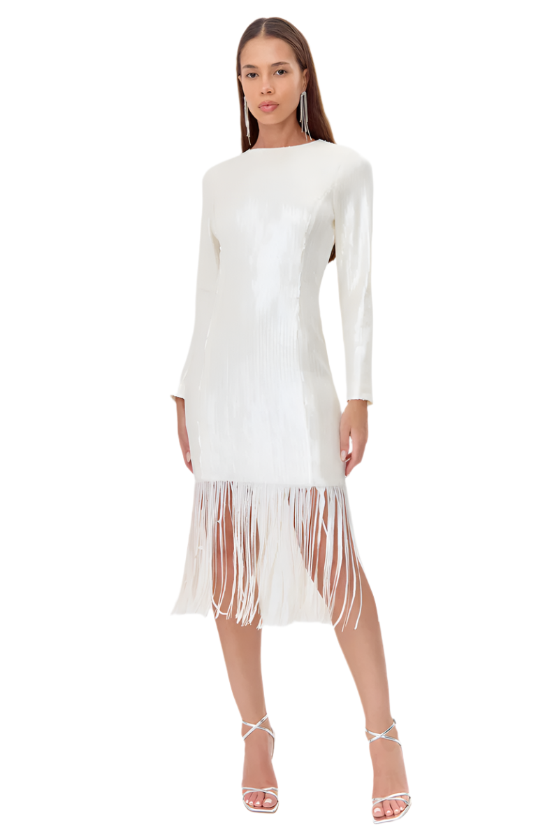 Gelissa Sequins Fringe Dress