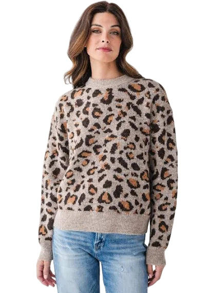 Knit Printed Sweater
