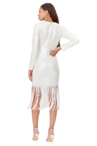 Gelissa Sequins Fringe Dress