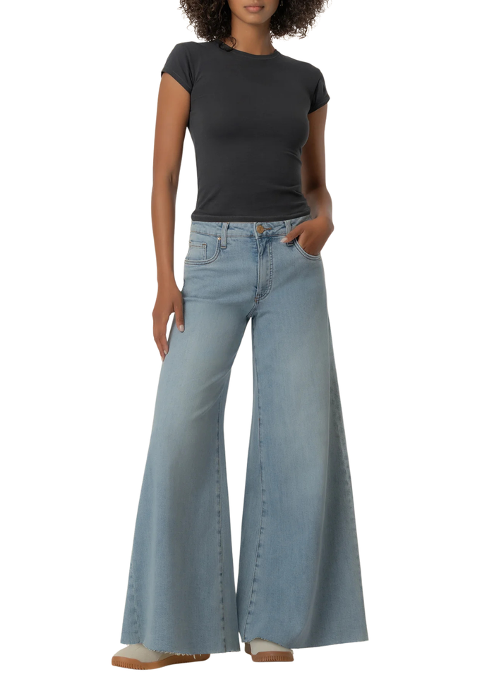 Blake High Rise Super Wide Leg
