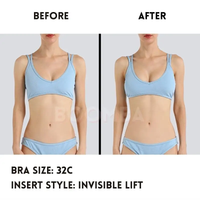 Invisible Lift Inserts