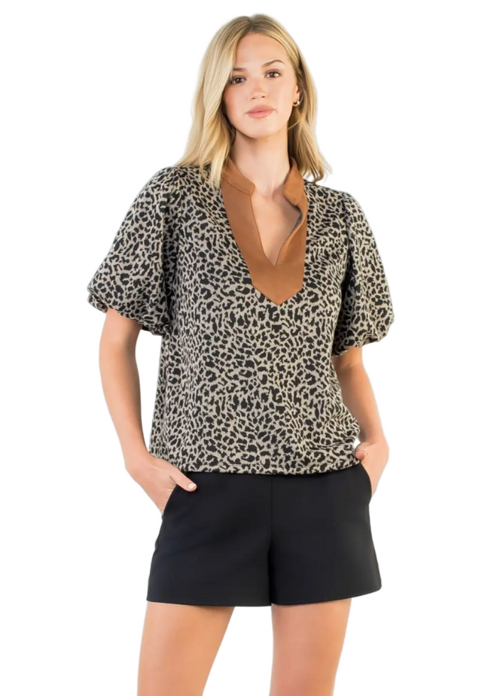 Leopard Print Puff Sleeve V-Neck Top