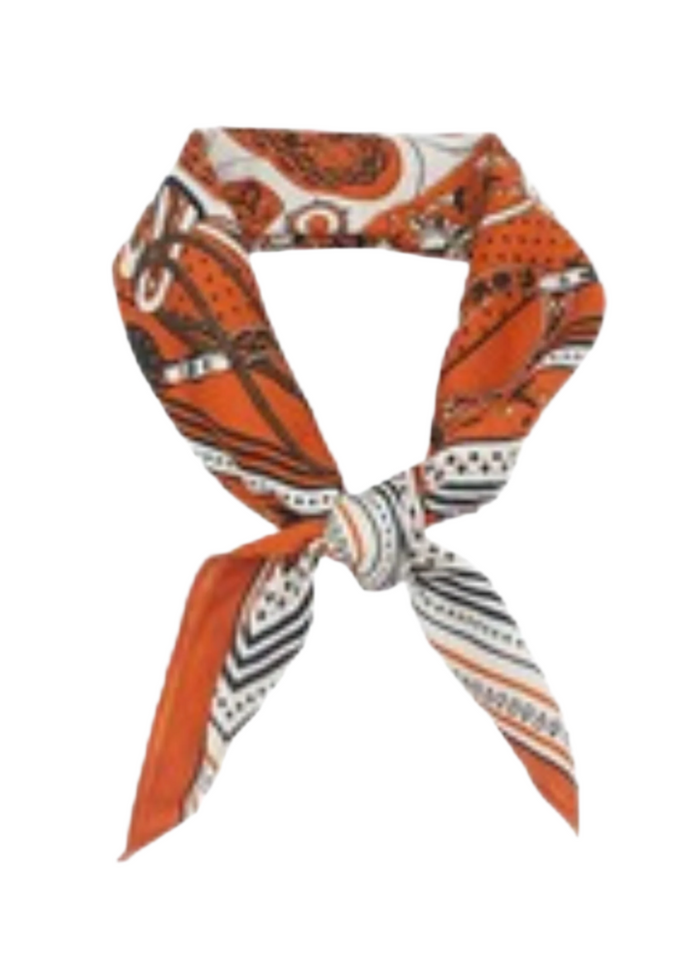 Retro Paisley Print Bandana Scarf