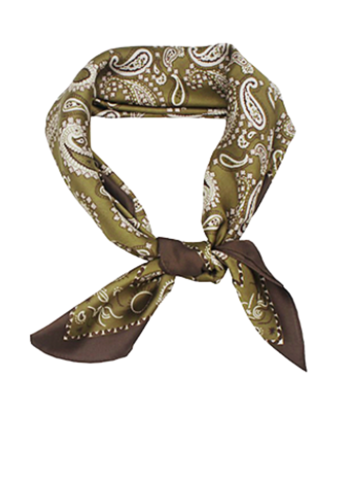 Paisley Border Scarf